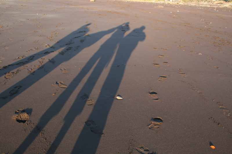 Nieuw-Zeeland 2011 - 1345